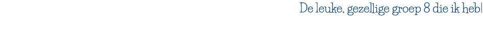 De leuke, gezellige groep 8 die ik heb  