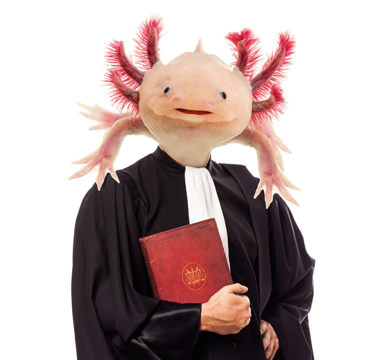 one caucasian lawyer man in studio on white background